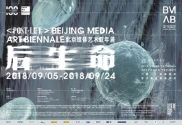 TRANSHUMAN ART CRITICS