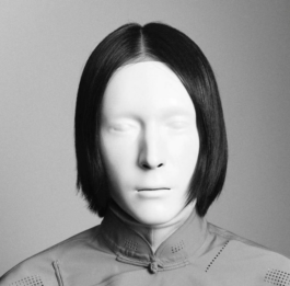 TRANSHUMAN ART CRITICS