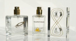 TRANSHUMAN ART CRITICS