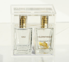 TRANSHUMAN ART CRITICS